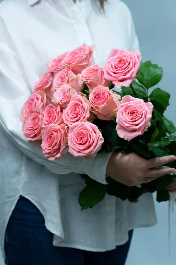 Dutch roses | ծաղիկներ, ծաղկեպսակներ, բույսեր Երևան Dutch roses | ծաղիկներ, ծաղկեպսակներ, բույսեր Երևան