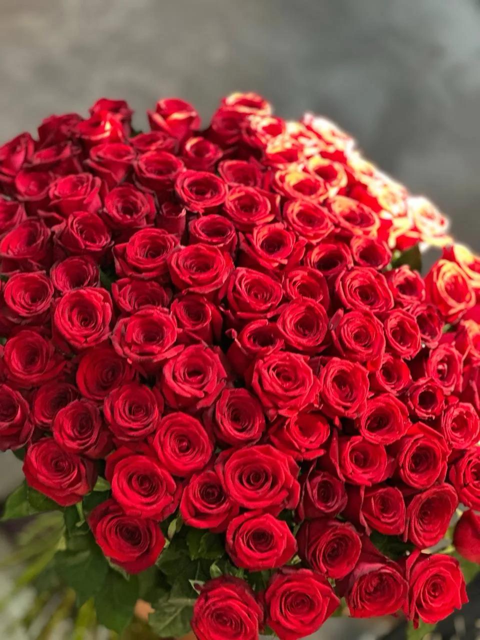 Red gorgeous roses | ծաղիկներ, ծաղկեպսակներ, բույսեր Երևան Red gorgeous roses | ծաղիկներ, ծաղկեպսակներ, բույսեր Երևան