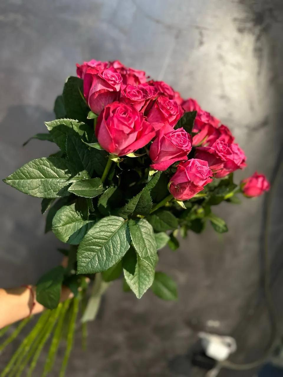 Bunch of roses | ծաղիկներ, ծաղկեպսակներ, բույսեր Երևան Bunch of roses | ծաղիկներ, ծաղկեպսակներ, բույսեր Երևան