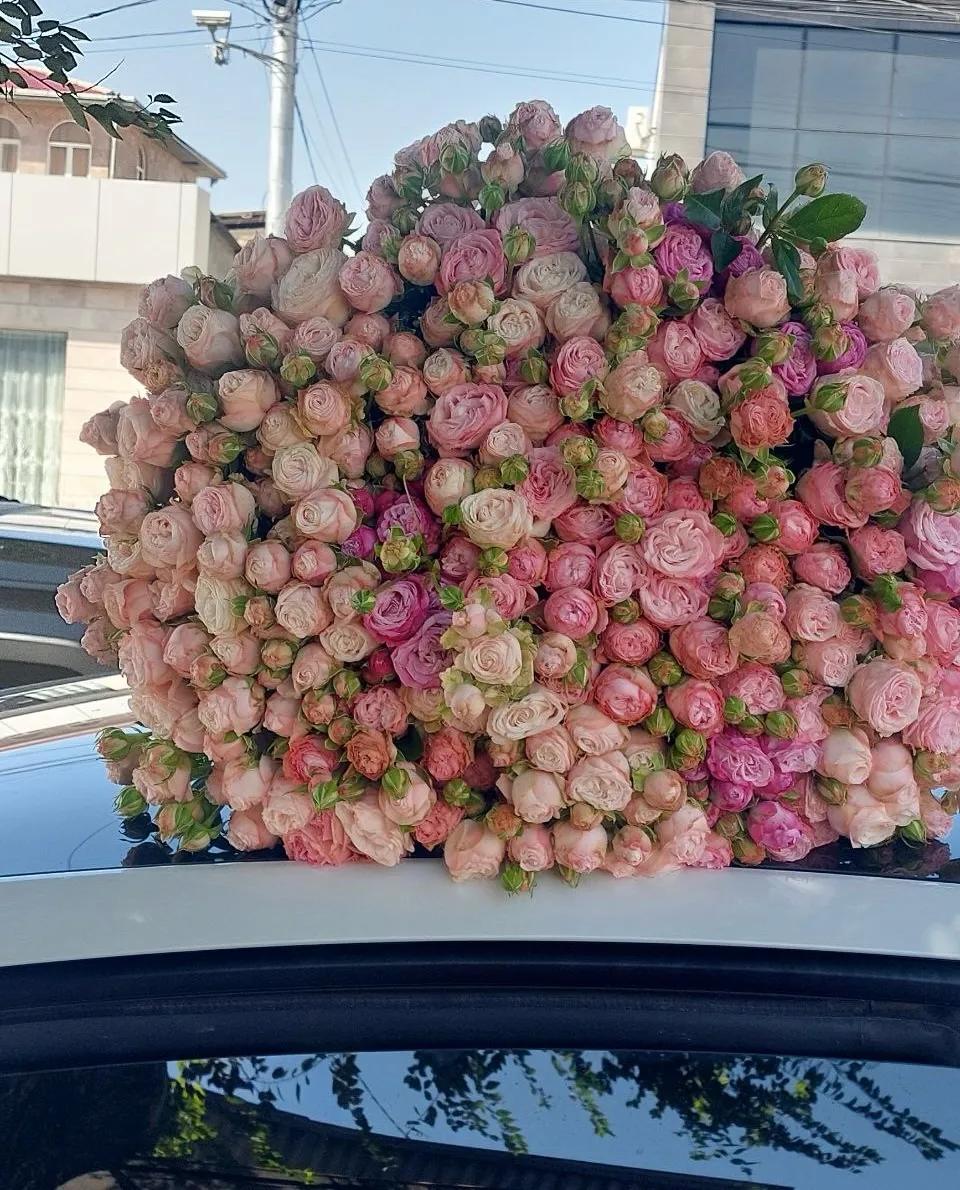 101 փնջային վարդեր | ծաղիկներ, ծաղկեպսակներ, բույսեր Երևան 101 փնջային վարդեր | ծաղիկներ, ծաղկեպսակներ, բույսեր Երևան